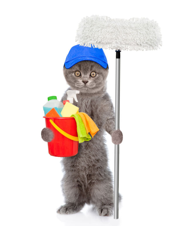 Why Self-Cleaning Litter Boxes Are a Must-Have in 2024