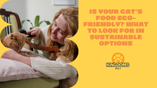 Is Your Cat’s Food Eco-Friendly? What to Look for in Sustainable Options