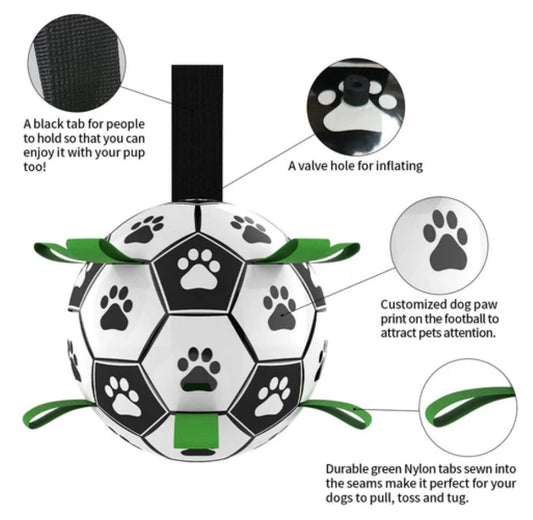 Interactive Toys to Keep Your Dog Mentally Stimulated