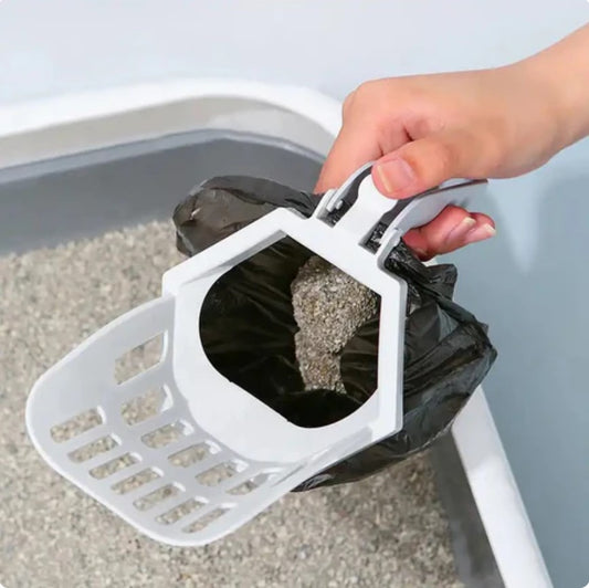 Common Problems with Traditional Cat Litter