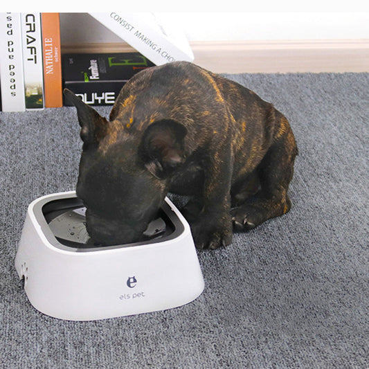 Splash Proof Pet Bowl No Spill Design for Mess Free Feeding Drinking