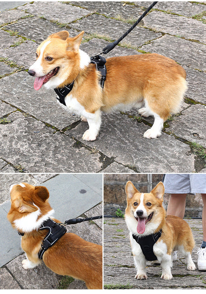 Reflective Pet Harness Vest Adjustable, Safe, and Comfortable for Pets