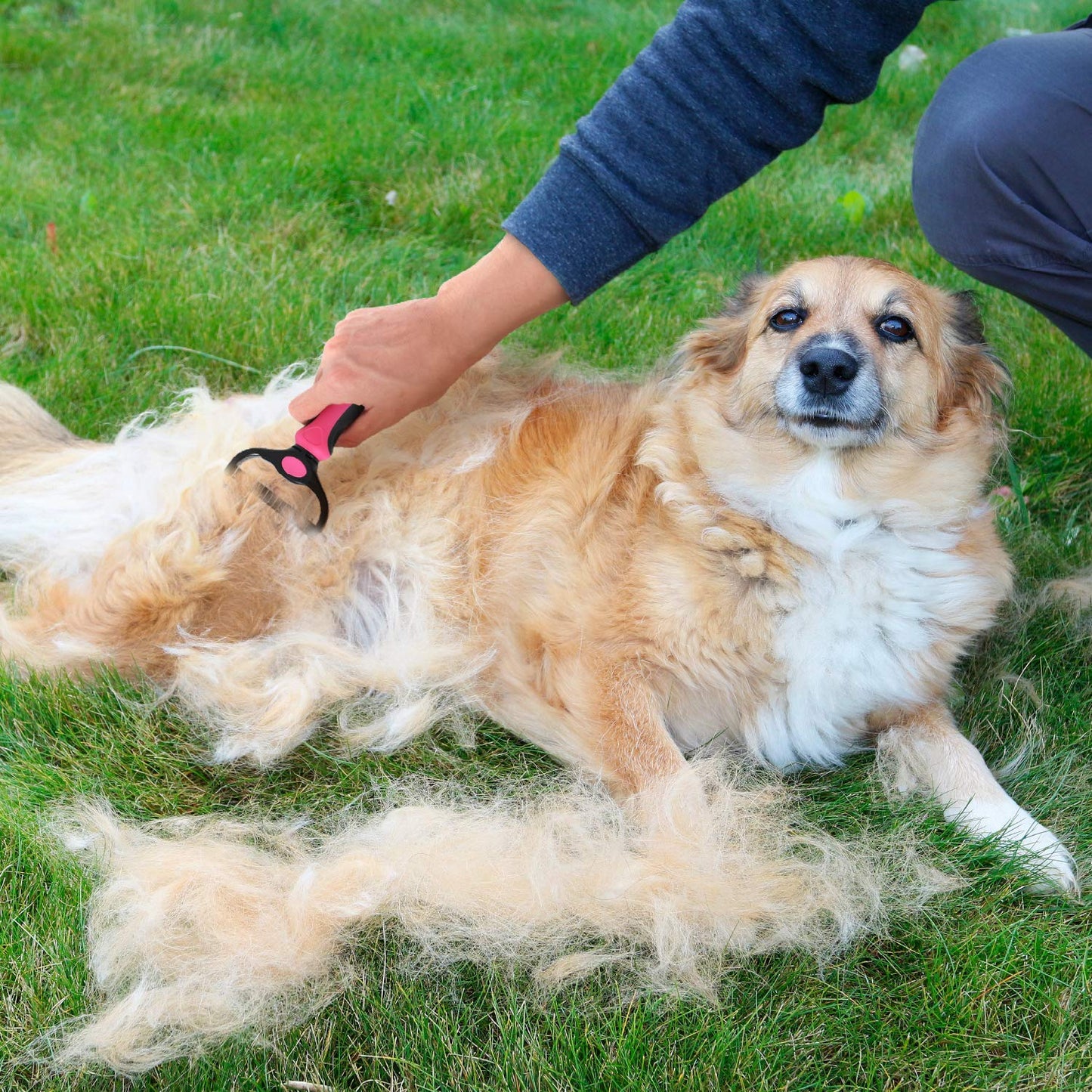 Pet Hair Detangler Comb