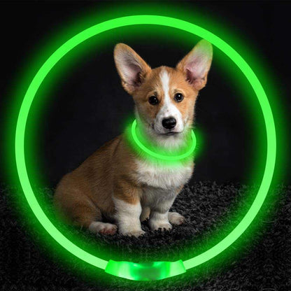 Led Light Dog Collar