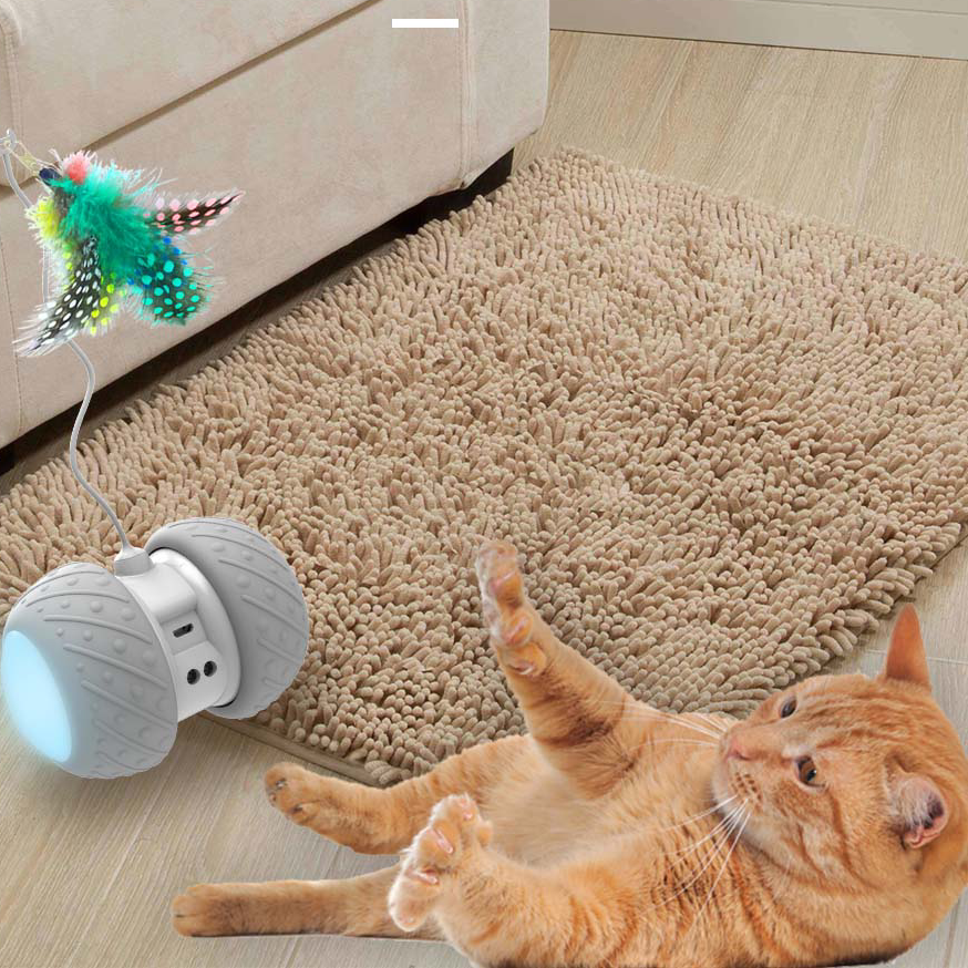 Rechargeable Funny Cat Toy