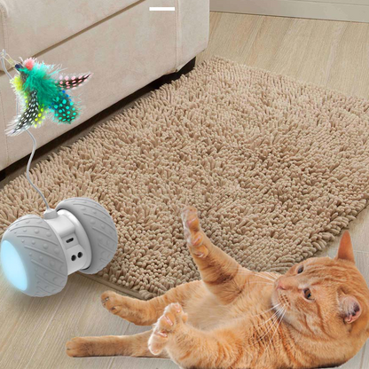 Rechargeable Funny Cat Toy