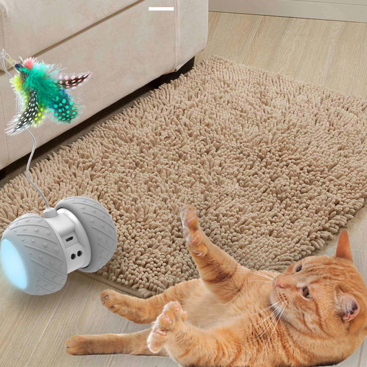 Rechargeable Funny Cat Toy