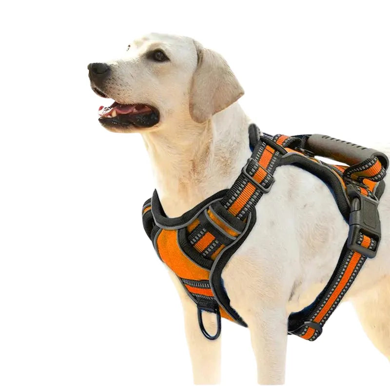 Reflective Pet Harness Vest Adjustable, Safe, and Comfortable for Pets